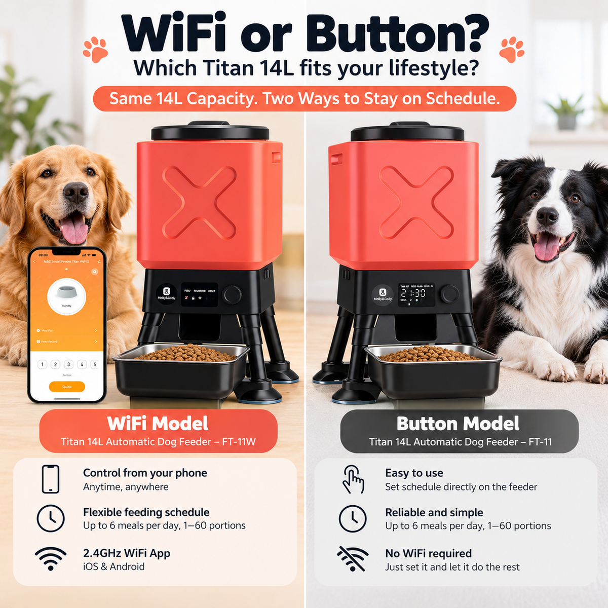 Molly&amp;Cody Titan 14L Automatic Dog Feeder: WiFi or Basic? Which One Fits Your Lifestyle in Australia?