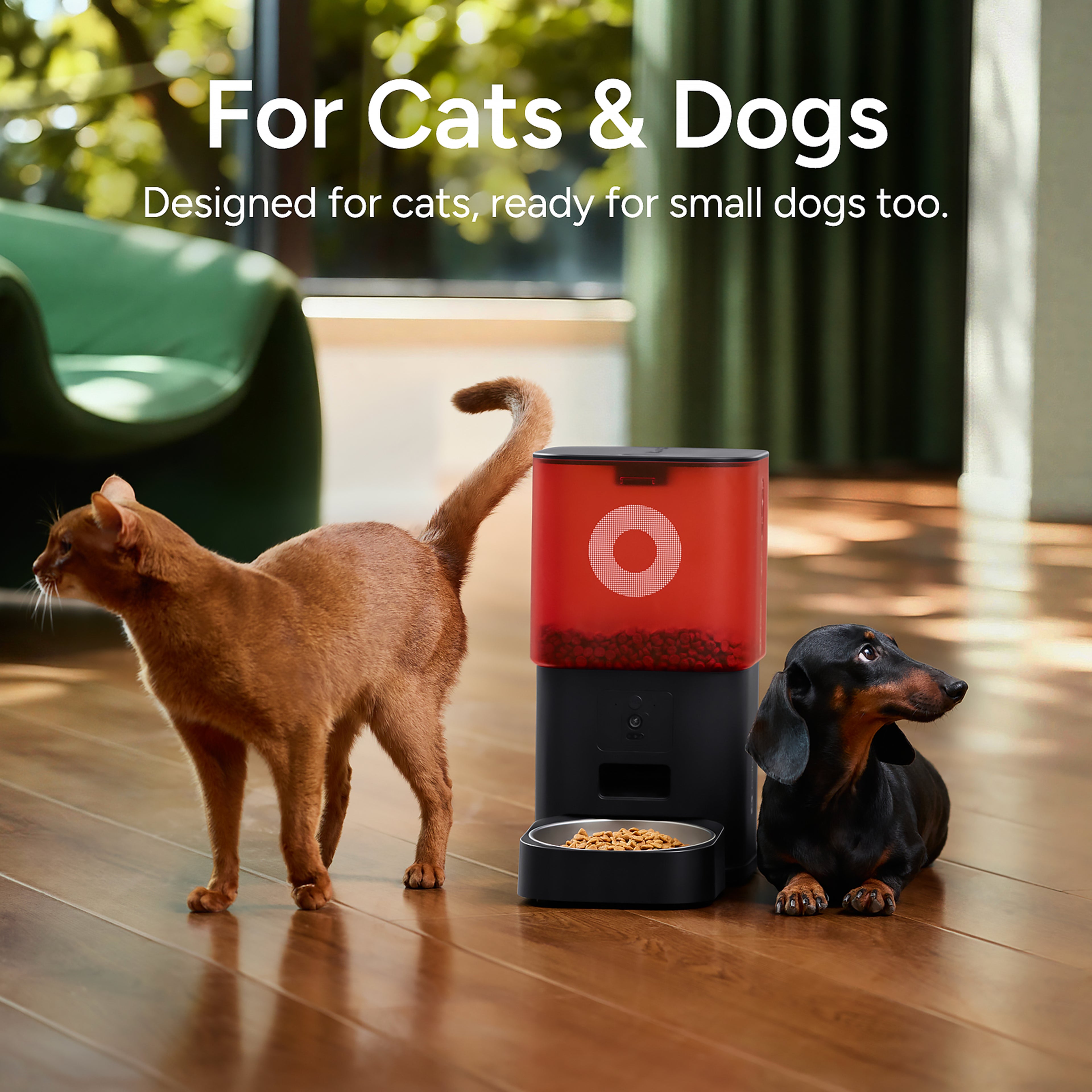 Molly&Cody Smart Feeder 6L Camera FT-21C-B