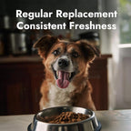Molly&Cody 6L Camera Automatic Pet Feeder + 5-Pack Desiccants