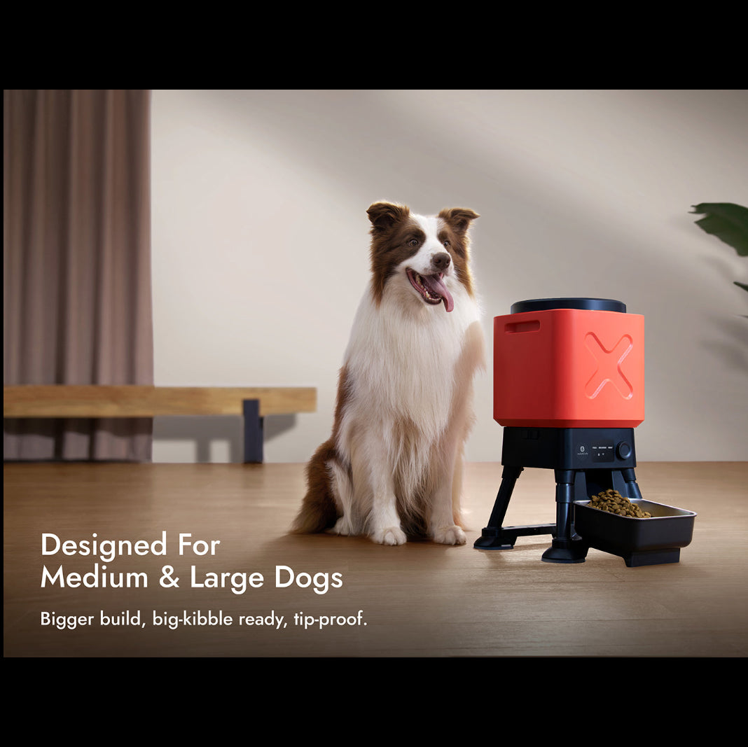 Molly&Cody Titan 14L Large Automatic Dog Feeder [WiFi] – Large Capacity Pet Food Dispenser for Medium & Large Dogs FT-11W
