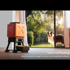 Record a personal message to call your pet at designated mealtimes