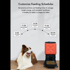 Set precise portions and feeding times to manage weight energy, and consistent mealtimes. A healthy fur baby is a happy fur baby!