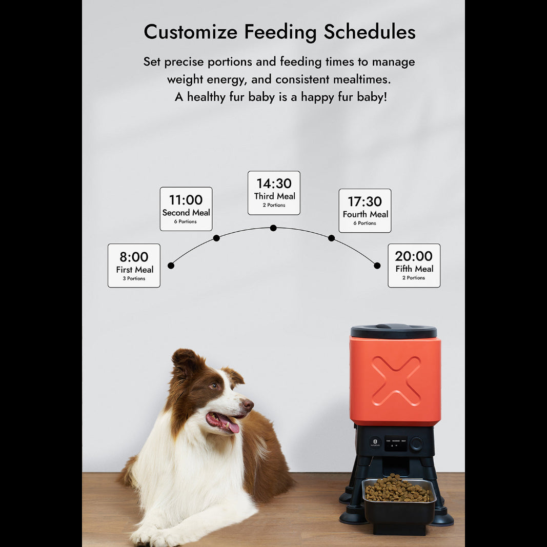 Set precise portions and feeding times to manage weight energy, and consistent mealtimes. A healthy fur baby is a happy fur baby!