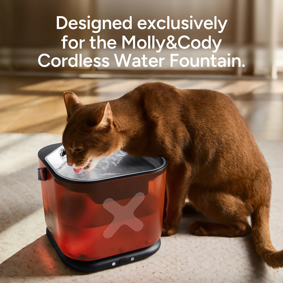 Molly&Cody Replacement Filters for 3L Cordless Water Fountain – 8 Pack