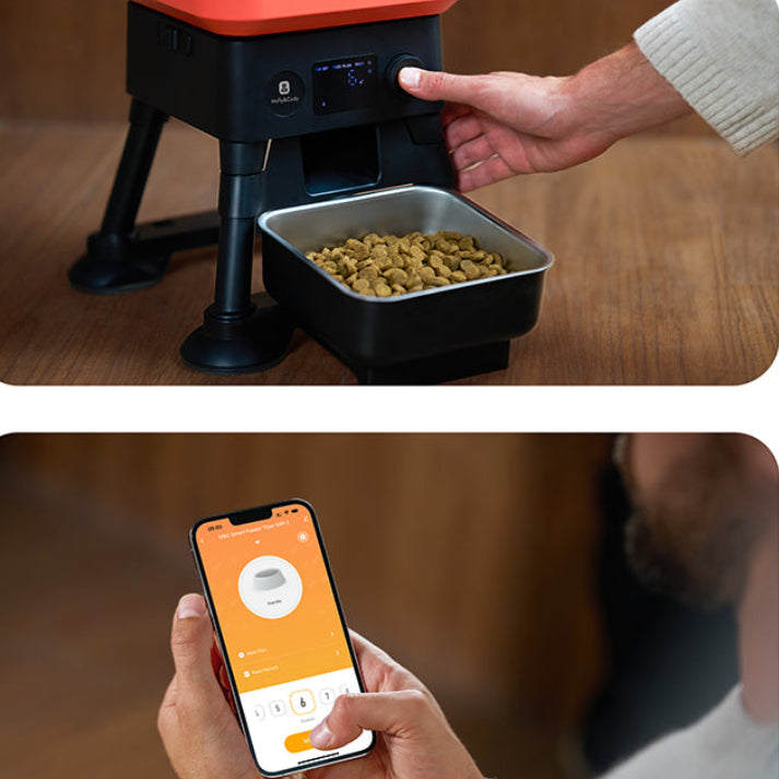 Molly&Cody Titan 14L Large Automatic Dog Feeder [WiFi] – Large Capacity Pet Food Dispenser for Medium & Large Dogs FT-11W